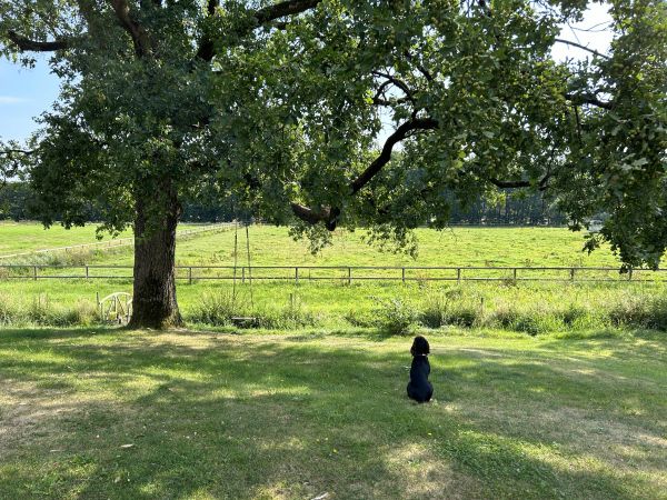 Der grandiose Blick von der Terrasse dieses Fachwerkhauses in die Landschaft